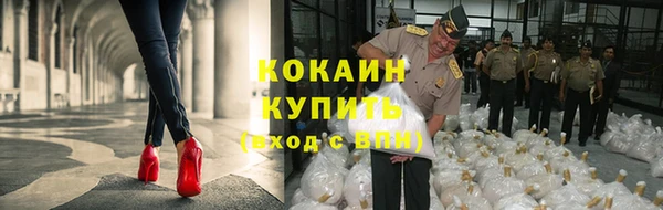 мяу мяу мука Заволжск
