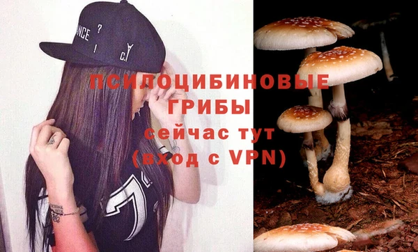 мяу мяу мука Заволжск