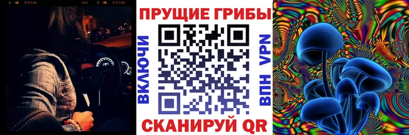Купить где  Барабинск  Галлюциногенные грибы Magic Shrooms 